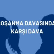 karşı dava