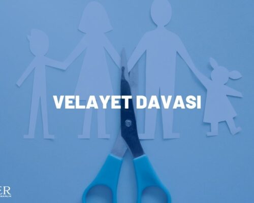 VELAYET DAVASI