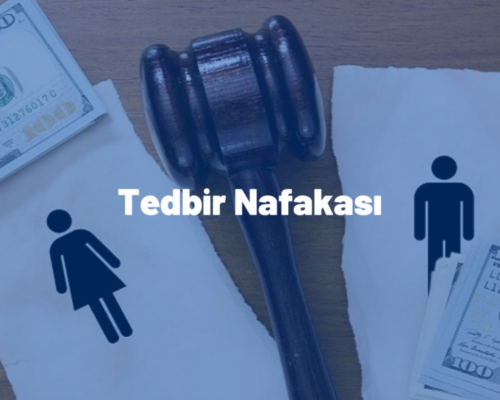 Tedbir Nafakası