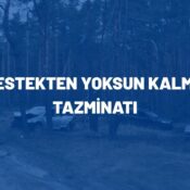 destekten yoksun kalma tazminatı