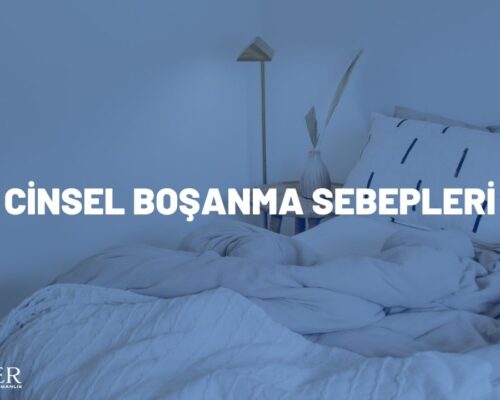 CİNSEL BOŞANMA SEBEPLERİ