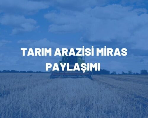 Tarım Arazisi Miras Paylaşımı