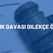 ayrılık davası dilekçe