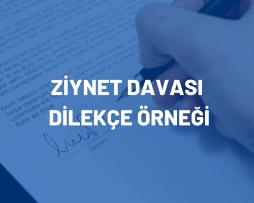 Ziynet Davası Dilekçe Örneği