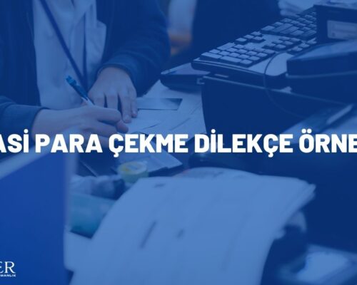 VASİ PARA ÇEKME DİLEKÇE ÖRNEĞİ