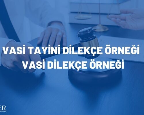 VASİ TAYİNİ DİLEKÇE ÖRNEĞİ – VASİ DİLEKÇE ÖRNEĞİ