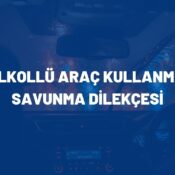 alkollü araç kullanma dilekçe, trafik güvenliğini tehlikeye sokma dilekçe