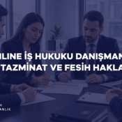 Online İş Hukuku Danışmanlığı | Tazminat ve Fesih Hakları